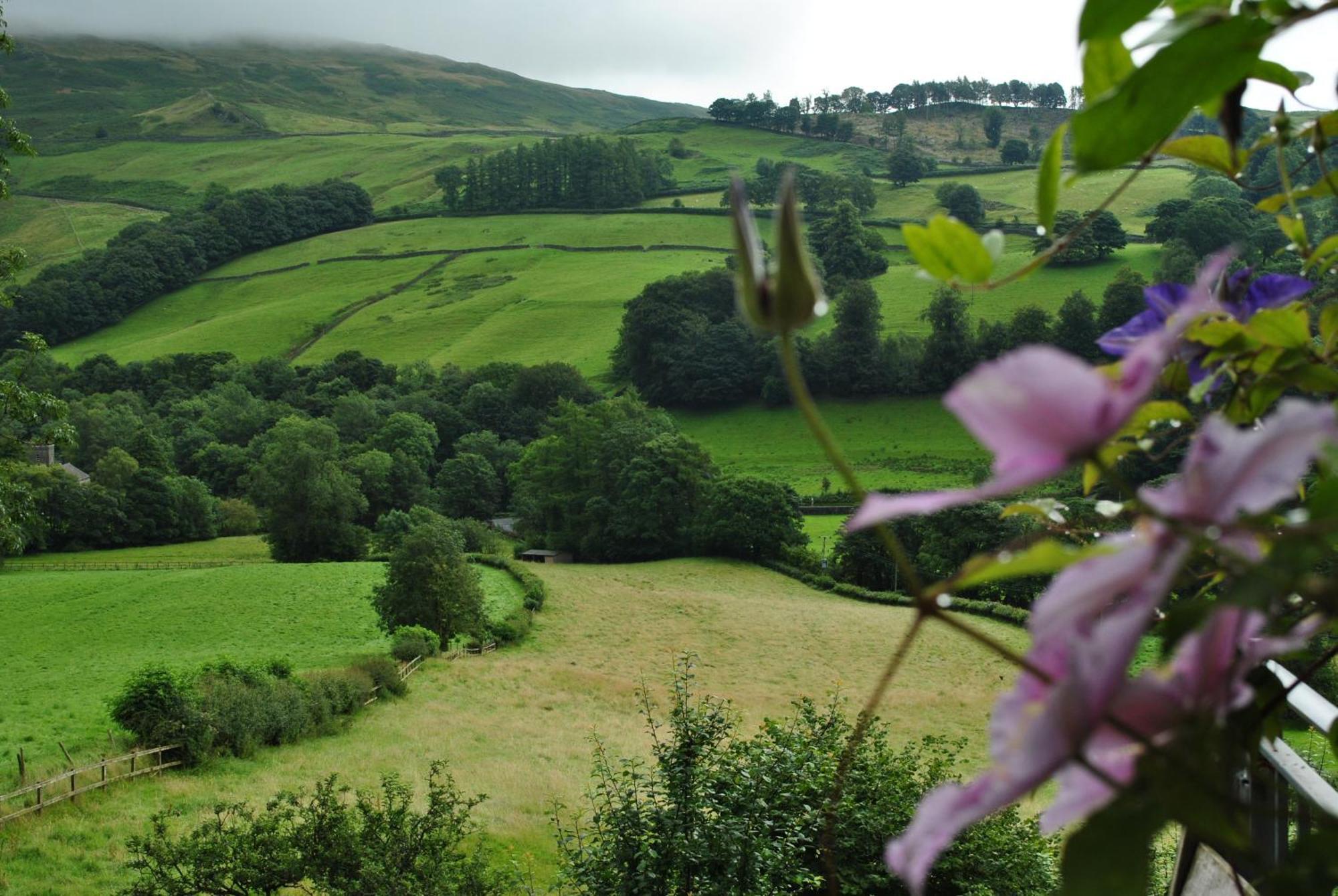 High Fold Guest House Troutbeck  Buitenkant foto