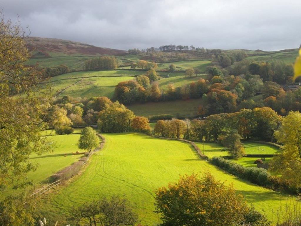 High Fold Guest House Troutbeck  Buitenkant foto