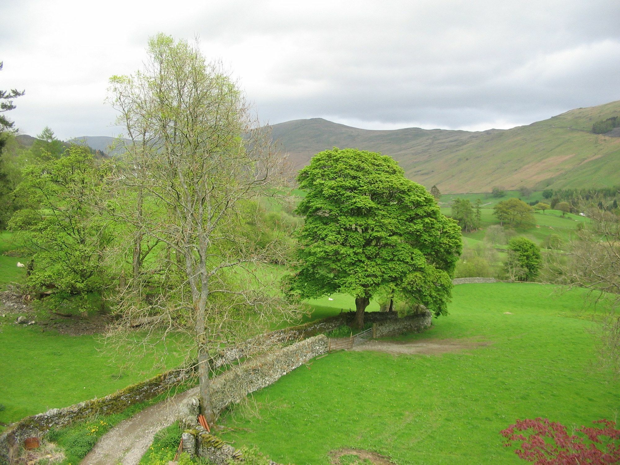 High Fold Guest House Troutbeck  Buitenkant foto