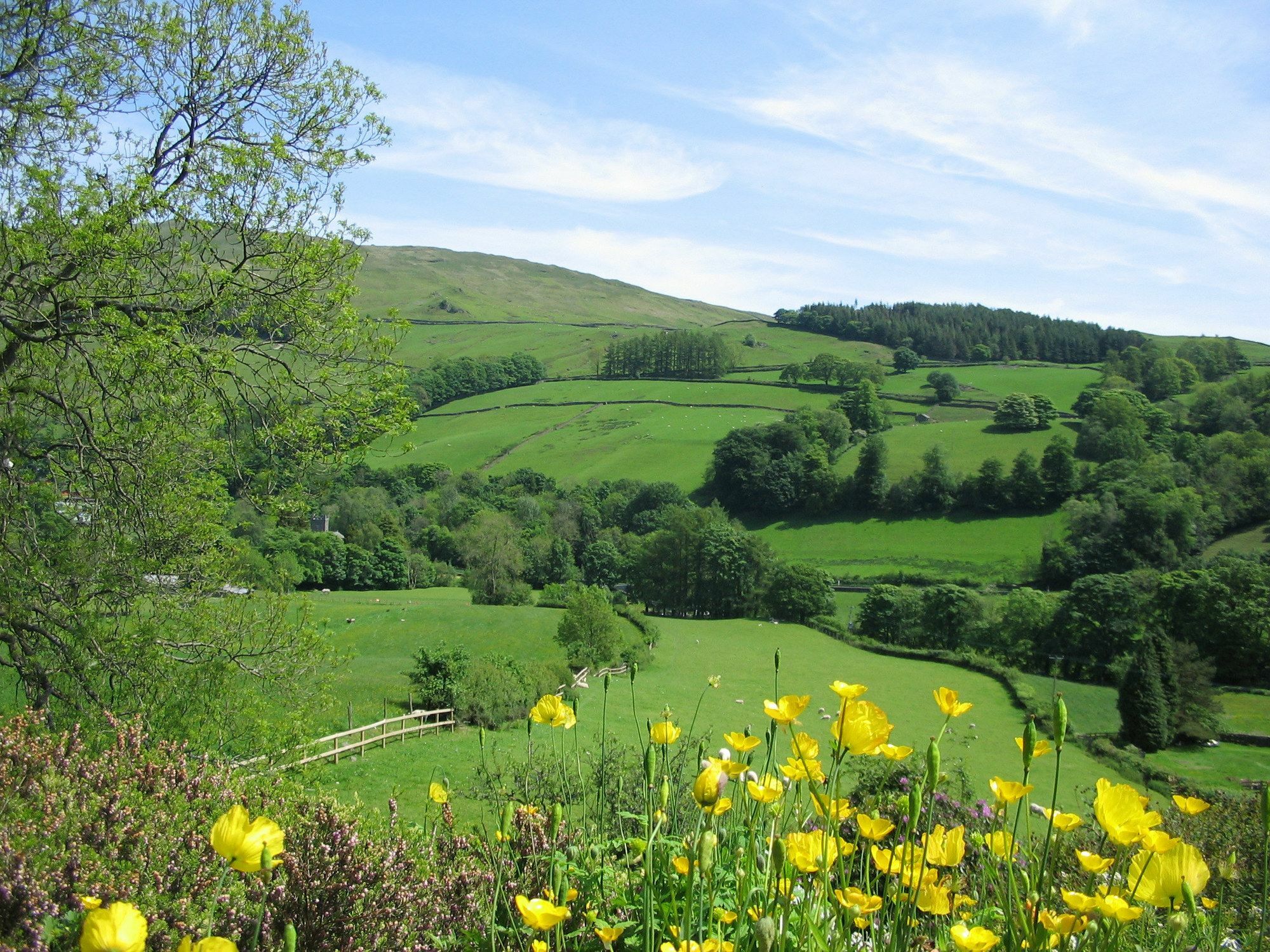 High Fold Guest House Troutbeck  Buitenkant foto