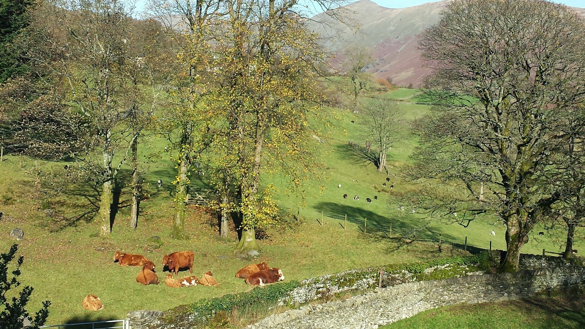 High Fold Guest House Troutbeck  Buitenkant foto